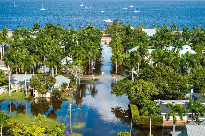 Photo of high tide street flooding on tree lined streets.