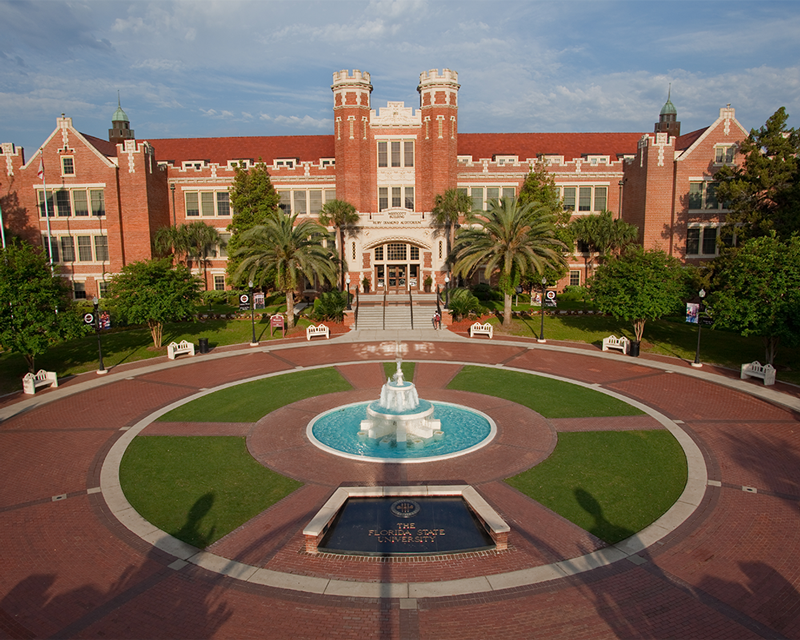 University Of Florida College 91