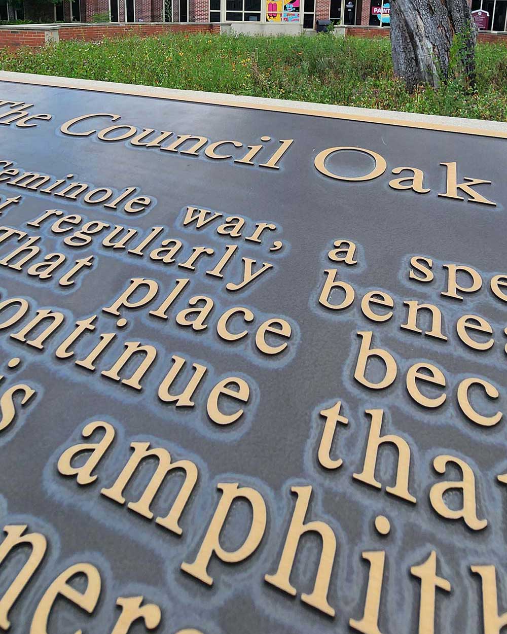 Council Oak tree at FSU Commons Courtyard