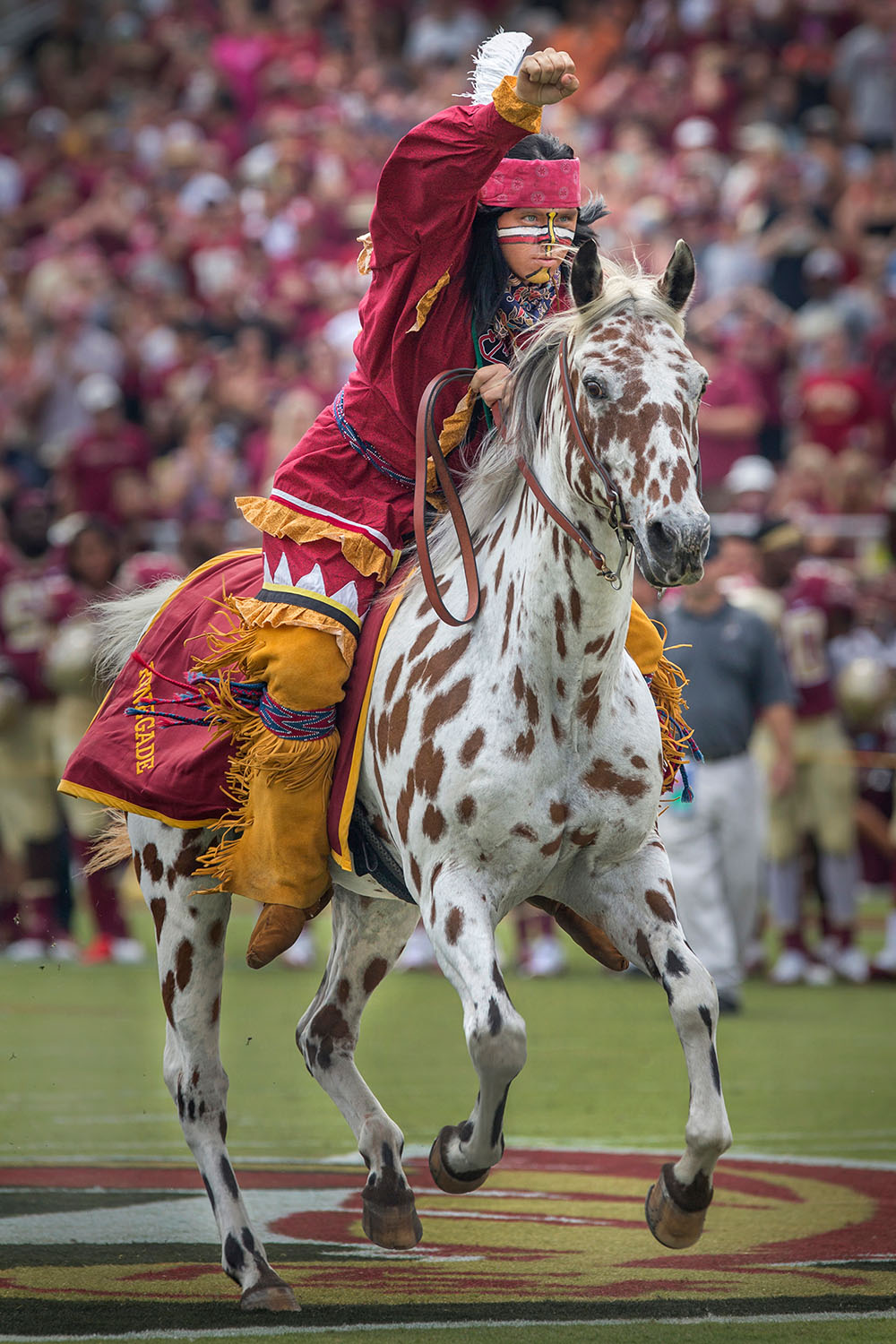 FSU's Osceola and Renegade at a Florida State University football game
