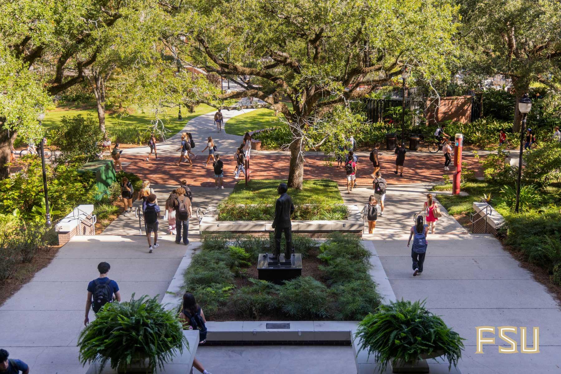 Students walk along tree-lined paved pathways on the Florida State University campus.